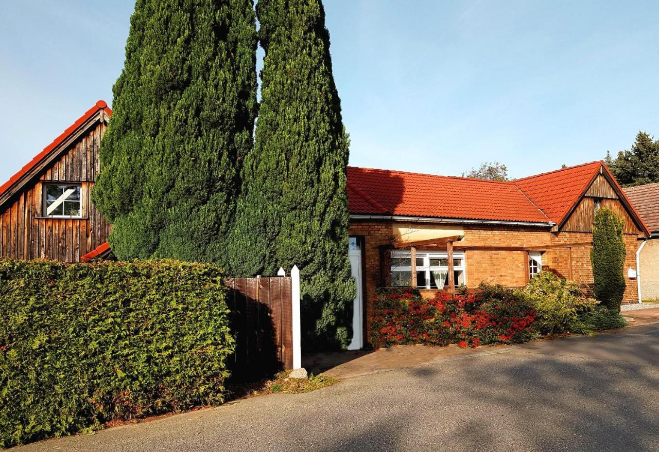 Bahnsdorf Auszeit Wohnung Hof Narla מראה חיצוני תמונה